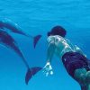 Privado: natacao_golfinhos_acores